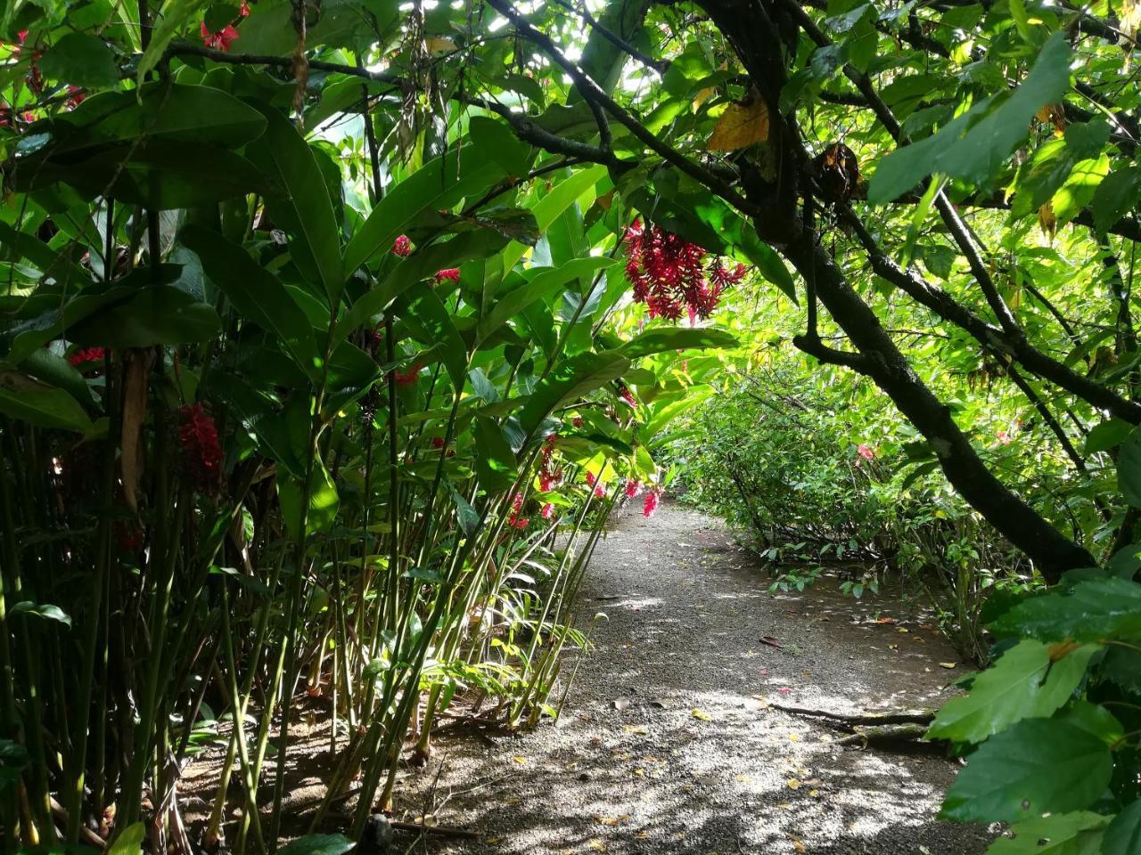 Posada Villamaga El Valle  エクステリア 写真