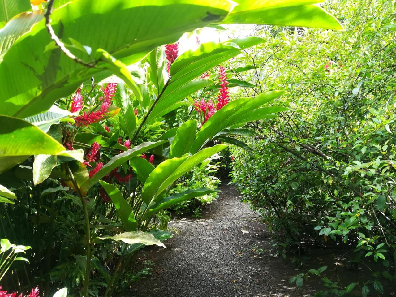 Posada Villamaga El Valle  エクステリア 写真