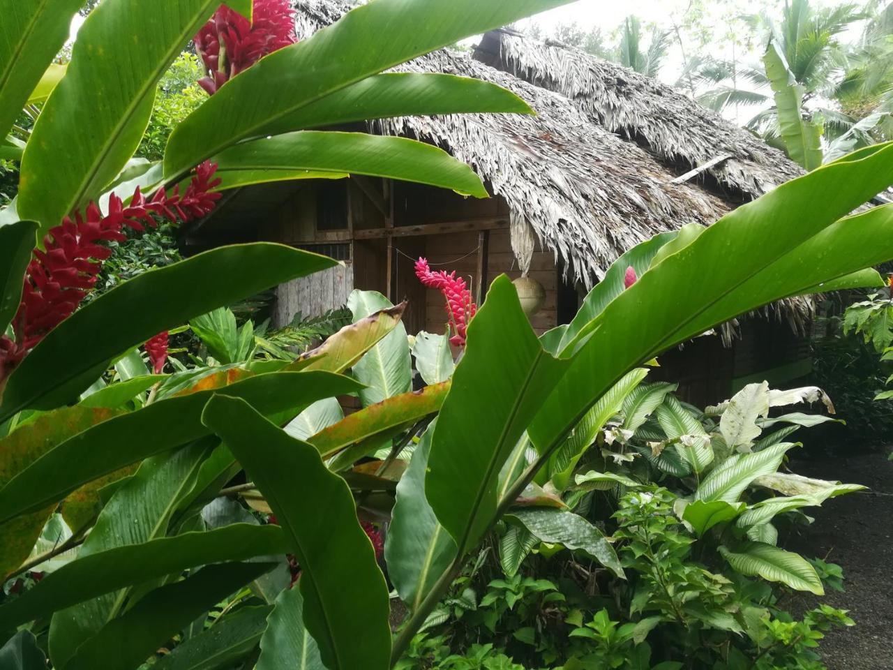 Posada Villamaga El Valle  エクステリア 写真